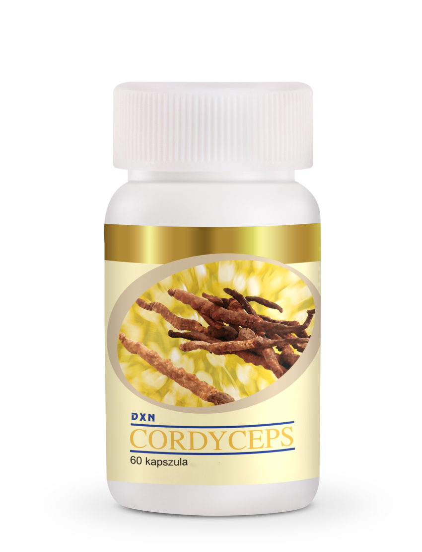 DXN CORDYCEPS