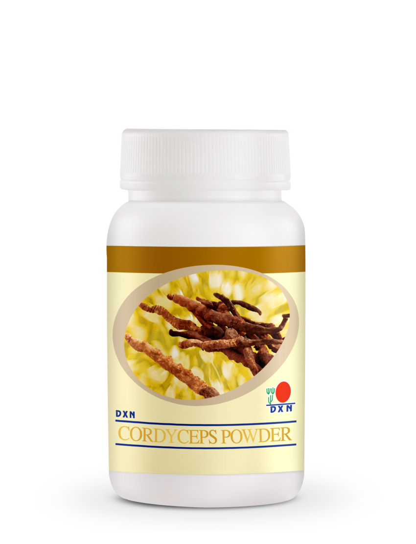 DXN CORDYCEPS POWDER